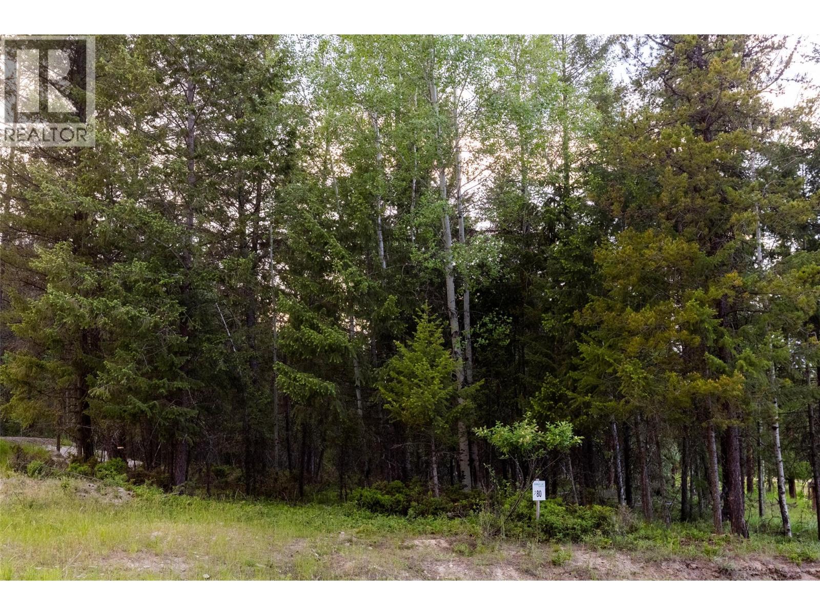 Lot 80 Osprey Landing Court, Wardner, British Columbia  V0B 2J0 - Photo 14 - 10381739