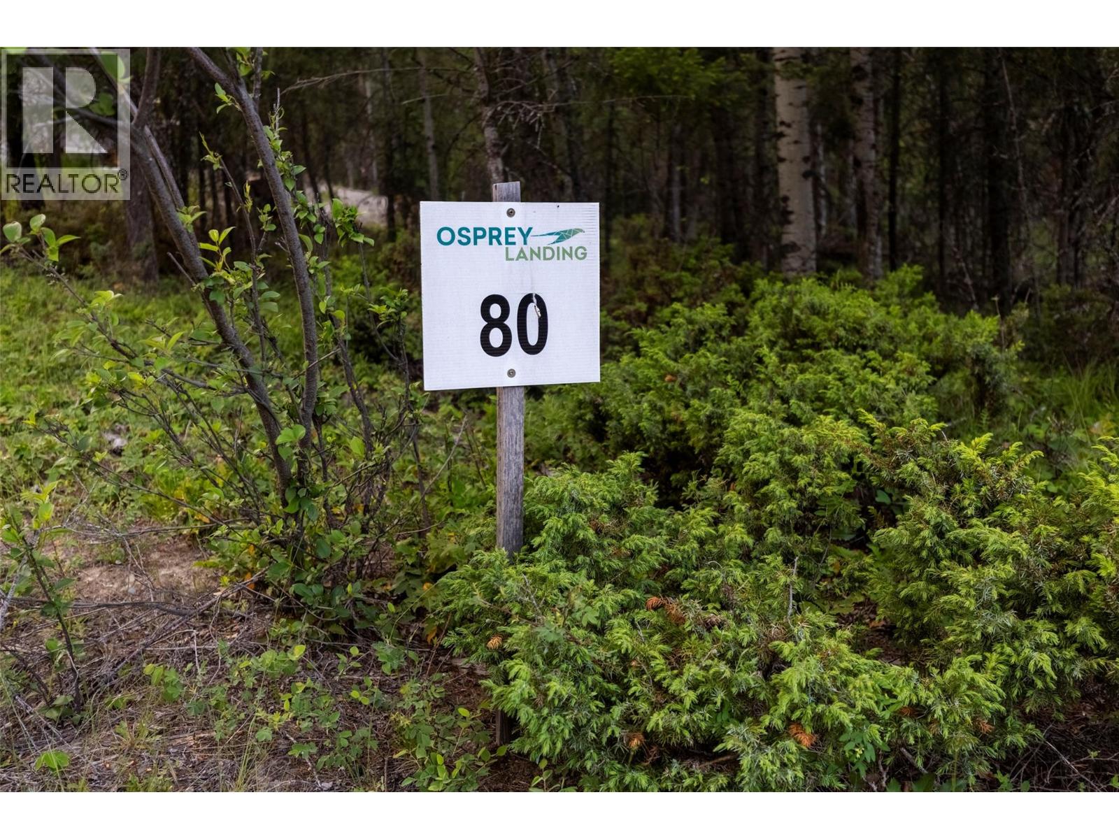 Lot 80 Osprey Landing Court, Wardner, British Columbia  V0B 2J0 - Photo 7 - 10381739