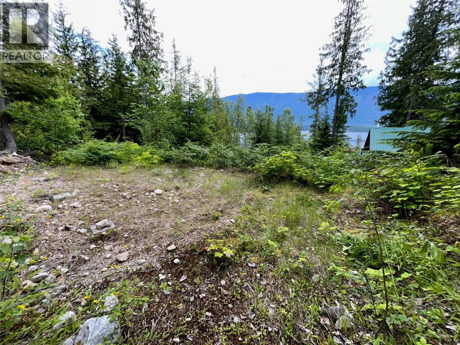 20-9000 Seymour Main Lot# 20, Seymour Arm, British Columbia  V0E 2V2 - Photo 4 - 10381931