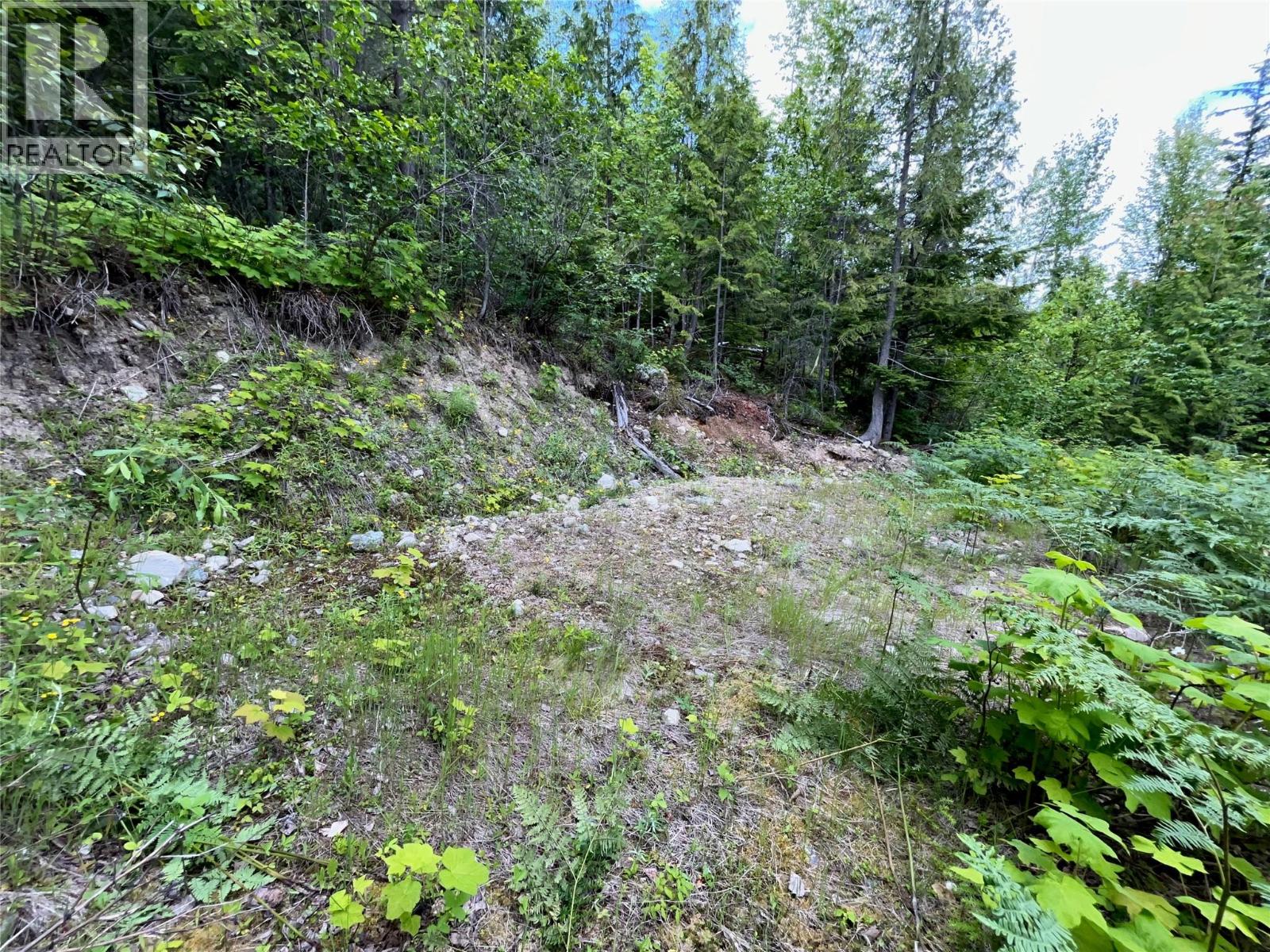 20-9000 Seymour Main Lot# 20, Seymour Arm, British Columbia  V0E 2V2 - Photo 6 - 10381931