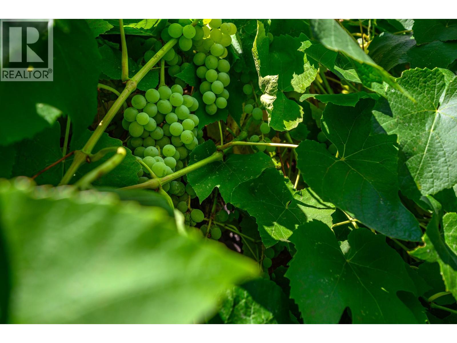 2501 30 Avenue, Vernon, British Columbia  V1T 2B4 - Photo 49 - 10381512