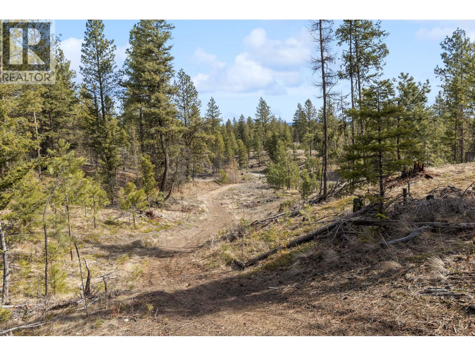 21 Nine Mile Place, Osoyoos, British Columbia  V0H 1V6 - Photo 10 - 10381996