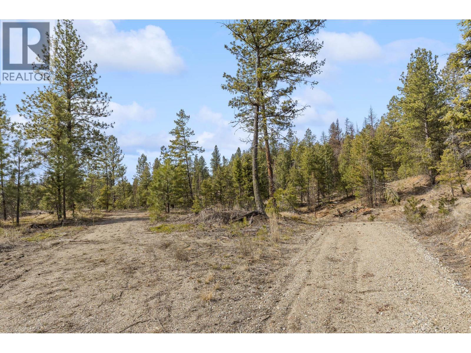 21 Nine Mile Place, Osoyoos, British Columbia  V0H 1V6 - Photo 11 - 10381996