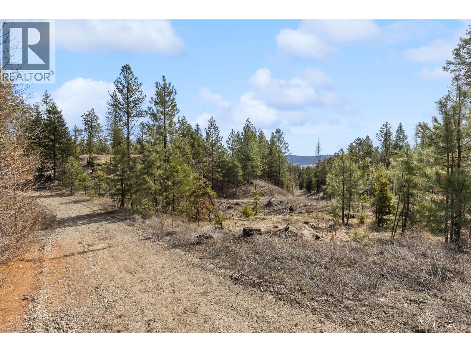 21 Nine Mile Place, Osoyoos, British Columbia  V0H 1V6 - Photo 13 - 10381996