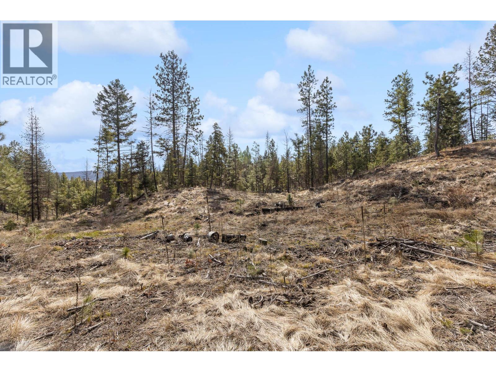 21 Nine Mile Place, Osoyoos, British Columbia  V0H 1V6 - Photo 14 - 10381996