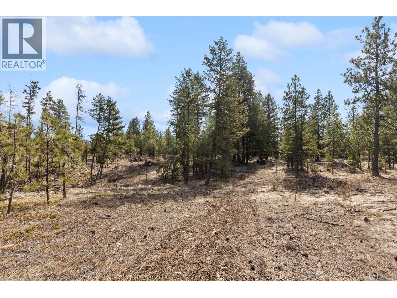 21 Nine Mile Place, Osoyoos, British Columbia  V0H 1V6 - Photo 15 - 10381996