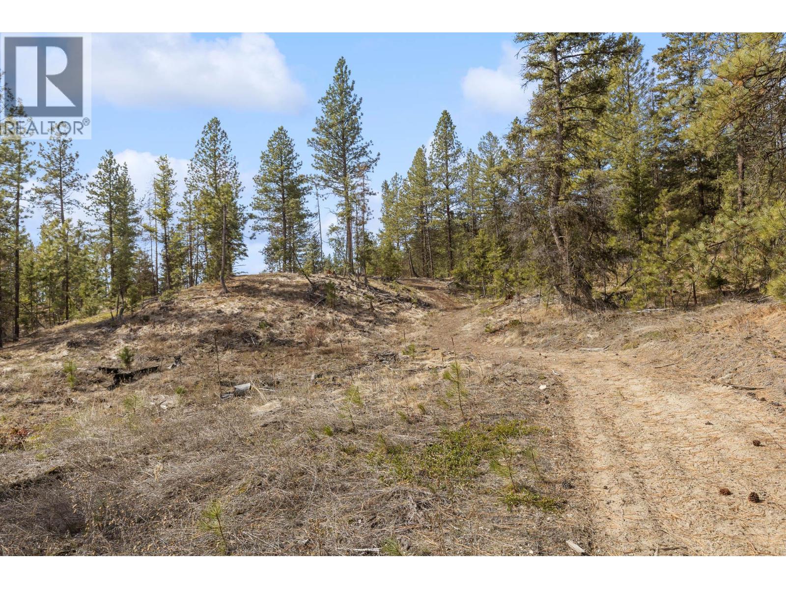 21 Nine Mile Place, Osoyoos, British Columbia  V0H 1V6 - Photo 16 - 10381996