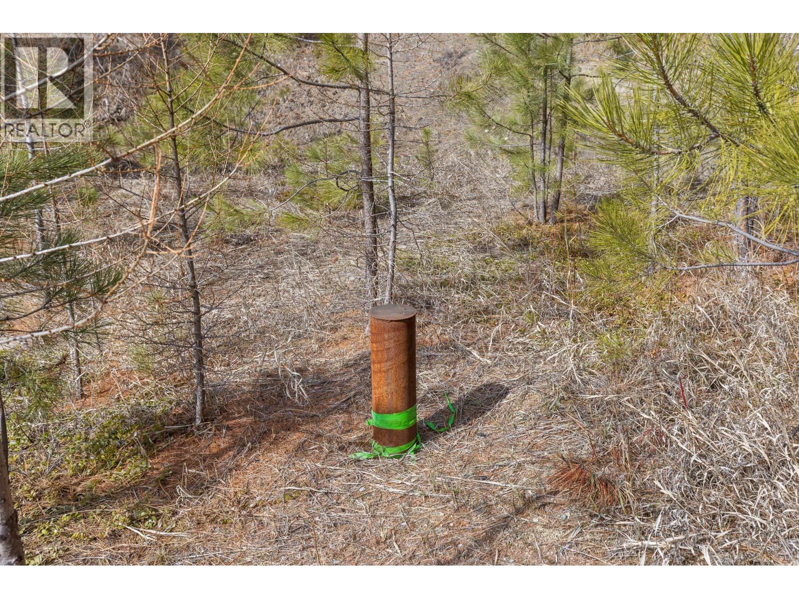 21 Nine Mile Place, Osoyoos, British Columbia  V0H 1V6 - Photo 17 - 10381996