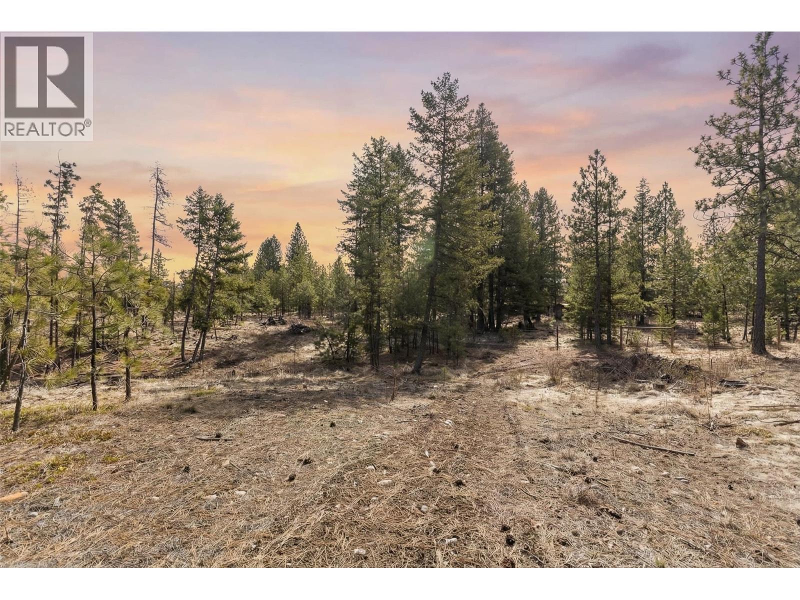 21 Nine Mile Place, Osoyoos, British Columbia  V0H 1V6 - Photo 9 - 10381996