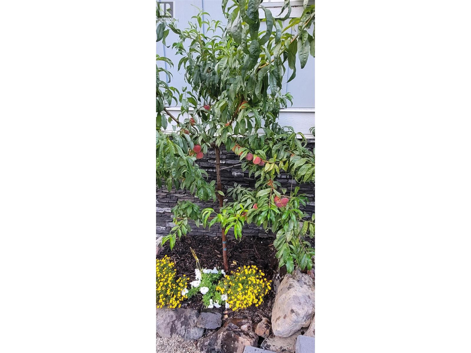 2511 Parkview Place, Blind Bay, British Columbia  V0E 1H2 - Photo 45 - 10381959