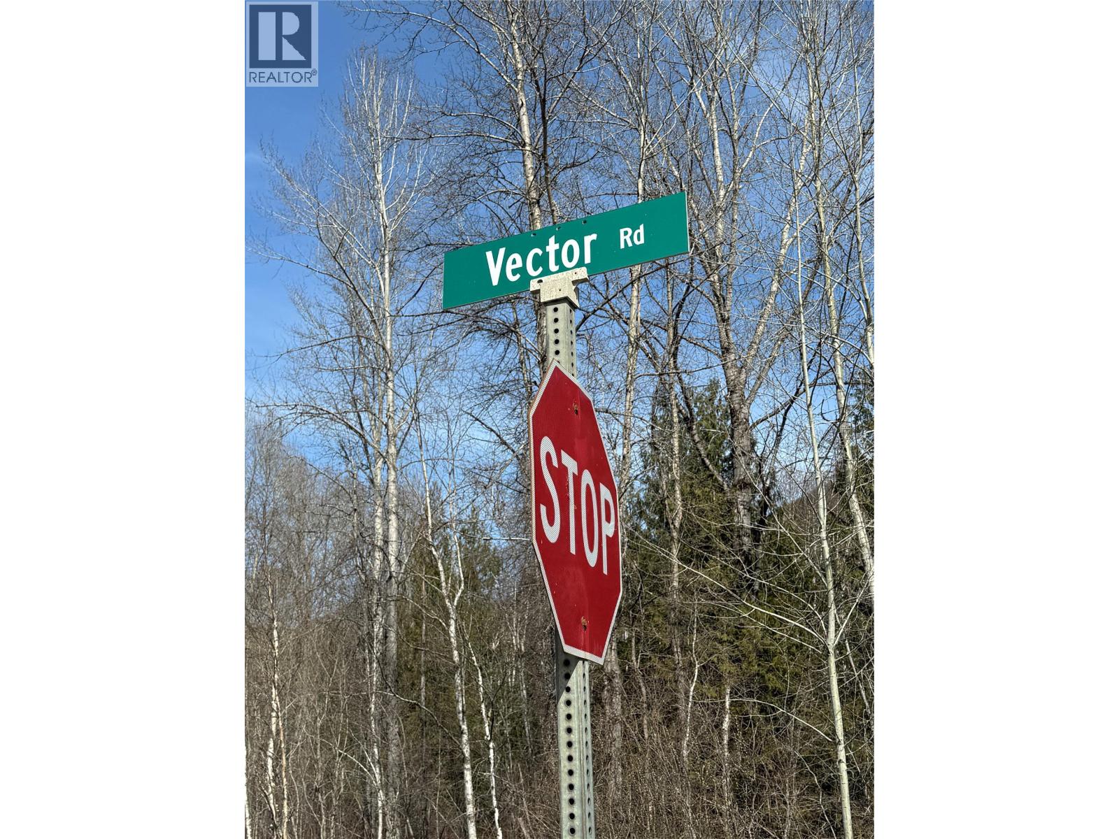 Vector Road Lot# 4, Salmo, British Columbia  V0G 1Z0 - Photo 2 - 10381167
