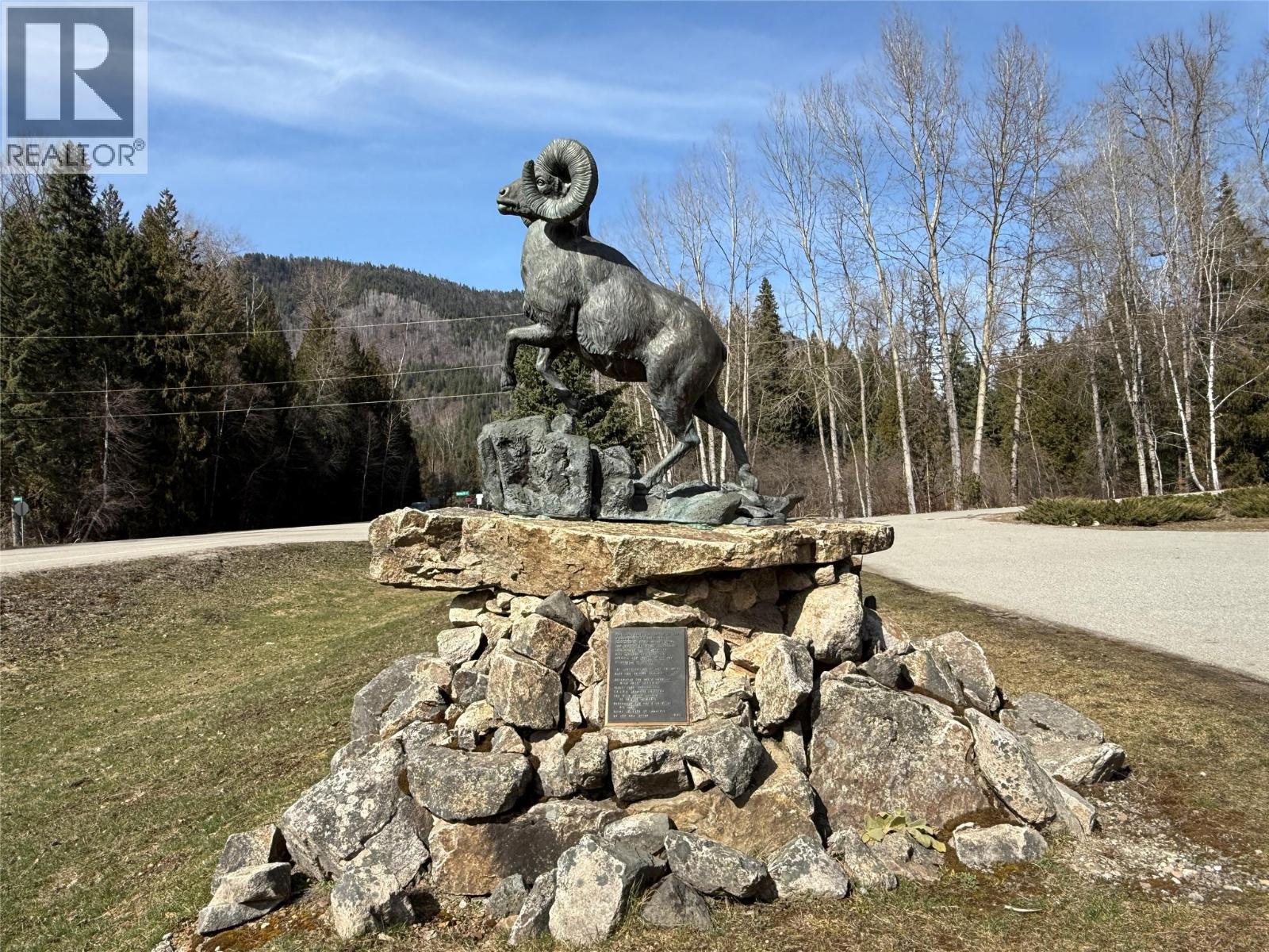 Vector Road Lot# 4, Salmo, British Columbia  V0G 1Z0 - Photo 3 - 10381167