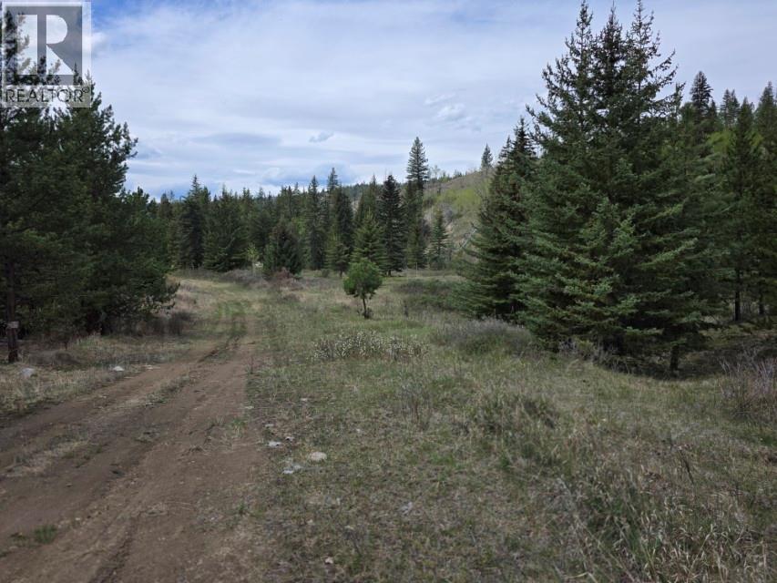 Dl 3849 Hutchison Road, Clinton, British Columbia  V0K 1K0 - Photo 23 - 10382044