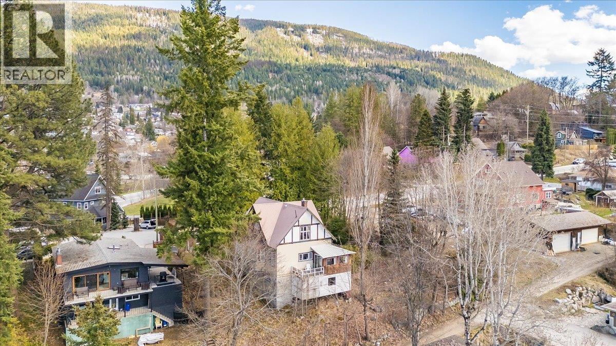 1107 Robertson Avenue, Nelson, British Columbia  V1L 1C2 - Photo 70 - 10381969