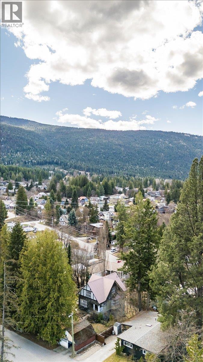 1107 Robertson Avenue, Nelson, British Columbia  V1L 1C2 - Photo 76 - 10381969