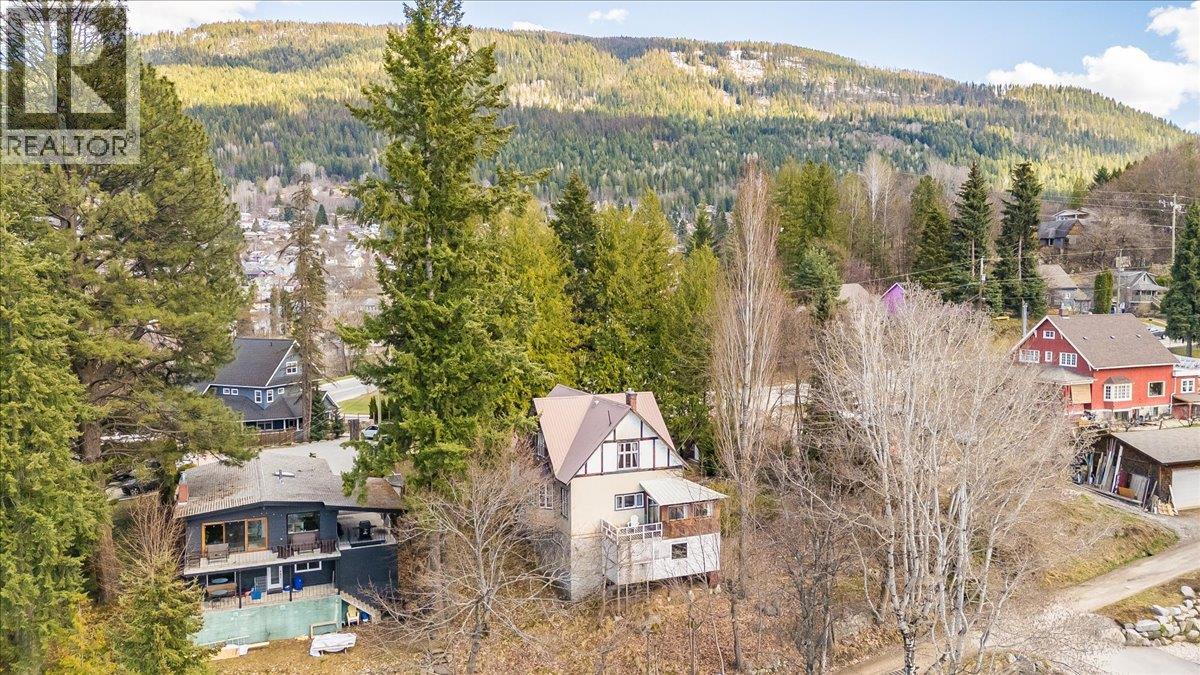 1107 Robertson Avenue, Nelson, British Columbia  V1L 1C2 - Photo 77 - 10381969