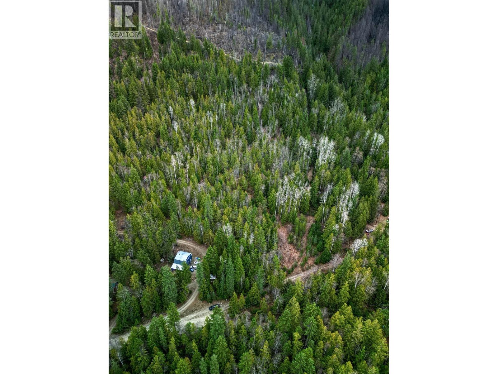 Lot 2 Martens Road, Slocan, British Columbia  V0G 2C0 - Photo 10 - 10381831