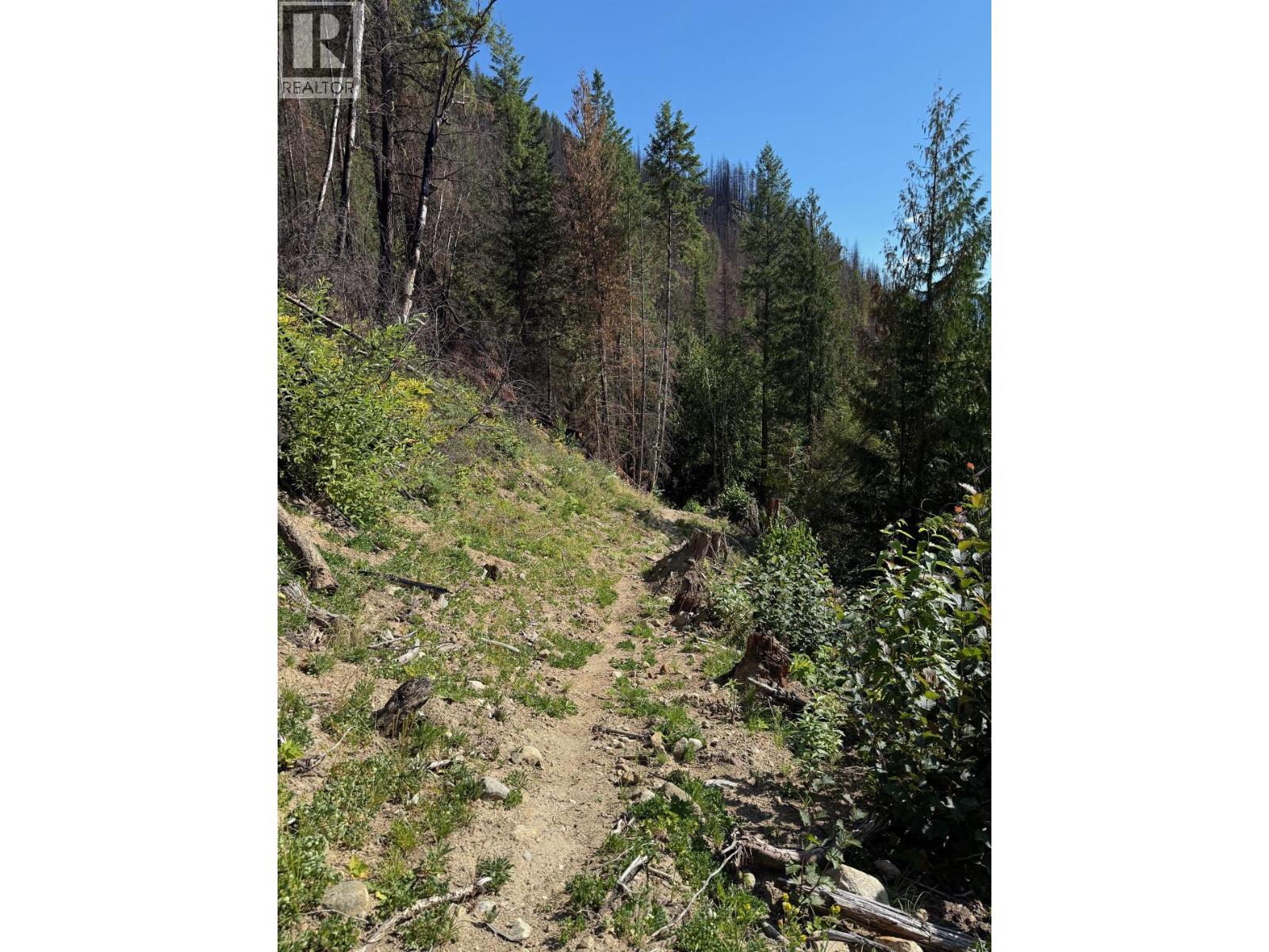 Lot 2 Martens Road, Slocan, British Columbia  V0G 2C0 - Photo 3 - 10381831