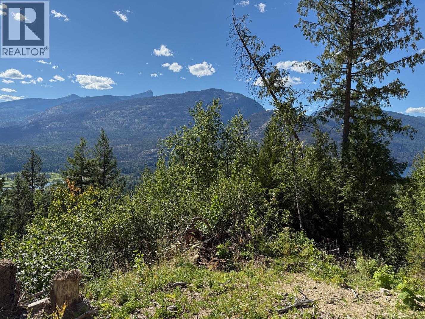 Lot 2 Martens Road, Slocan, British Columbia  V0G 2C0 - Photo 5 - 10381831