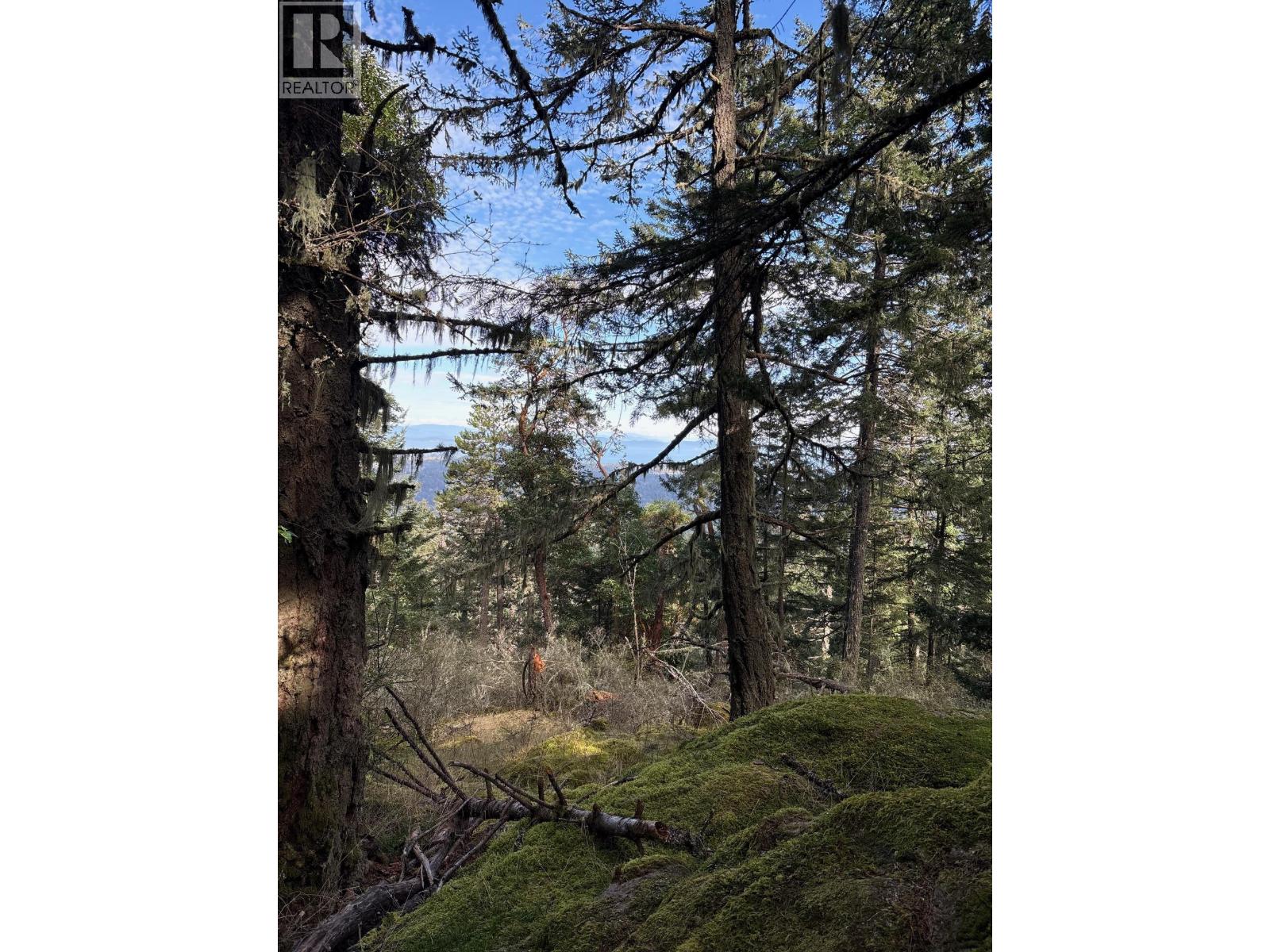 Lot 2 Martens Road, Slocan, British Columbia  V0G 2C0 - Photo 7 - 10381831