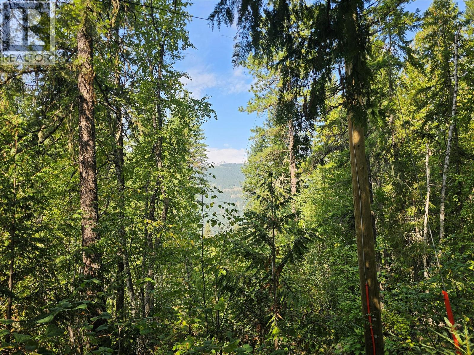 7467 St Thomas Road, Winlaw, British Columbia  V0G 2J0 - Photo 37 - 10361215