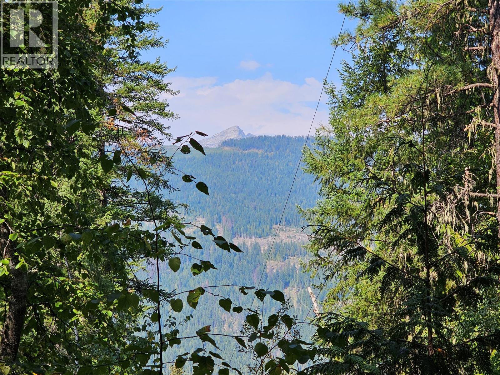 7467 St Thomas Road, Winlaw, British Columbia  V0G 2J0 - Photo 38 - 10361215