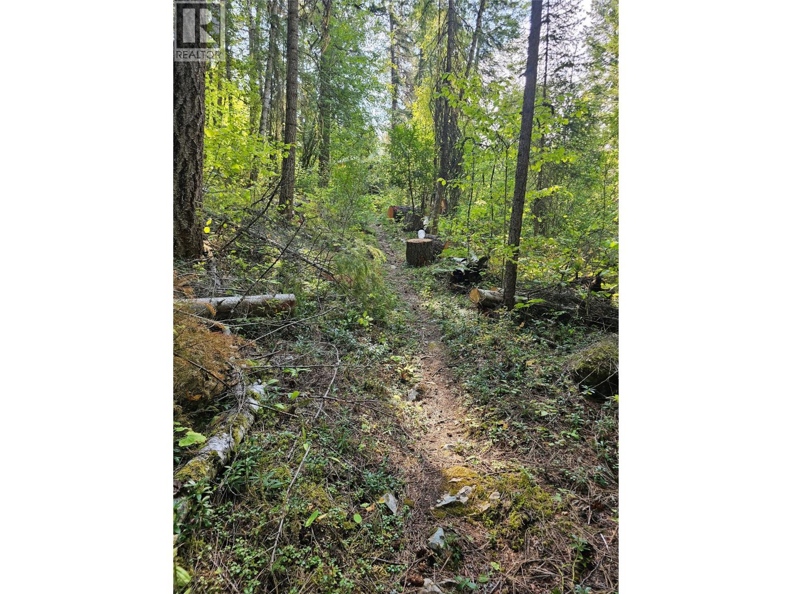 7467 St Thomas Road, Winlaw, British Columbia  V0G 2J0 - Photo 51 - 10361215