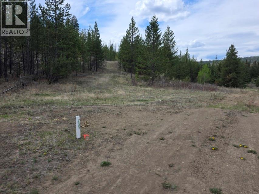 Dl 3848 Hutchison Road, Clinton, British Columbia  V0K 1K0 - Photo 11 - 10382043