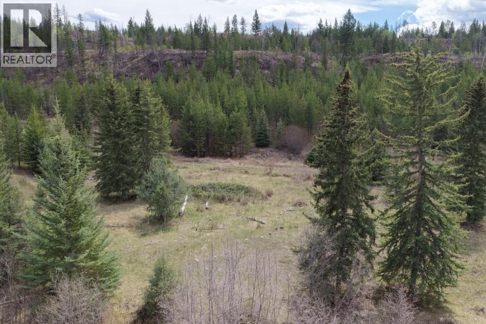 Dl 3848 Hutchison Road, Clinton, British Columbia  V0K 1K0 - Photo 18 - 10382043