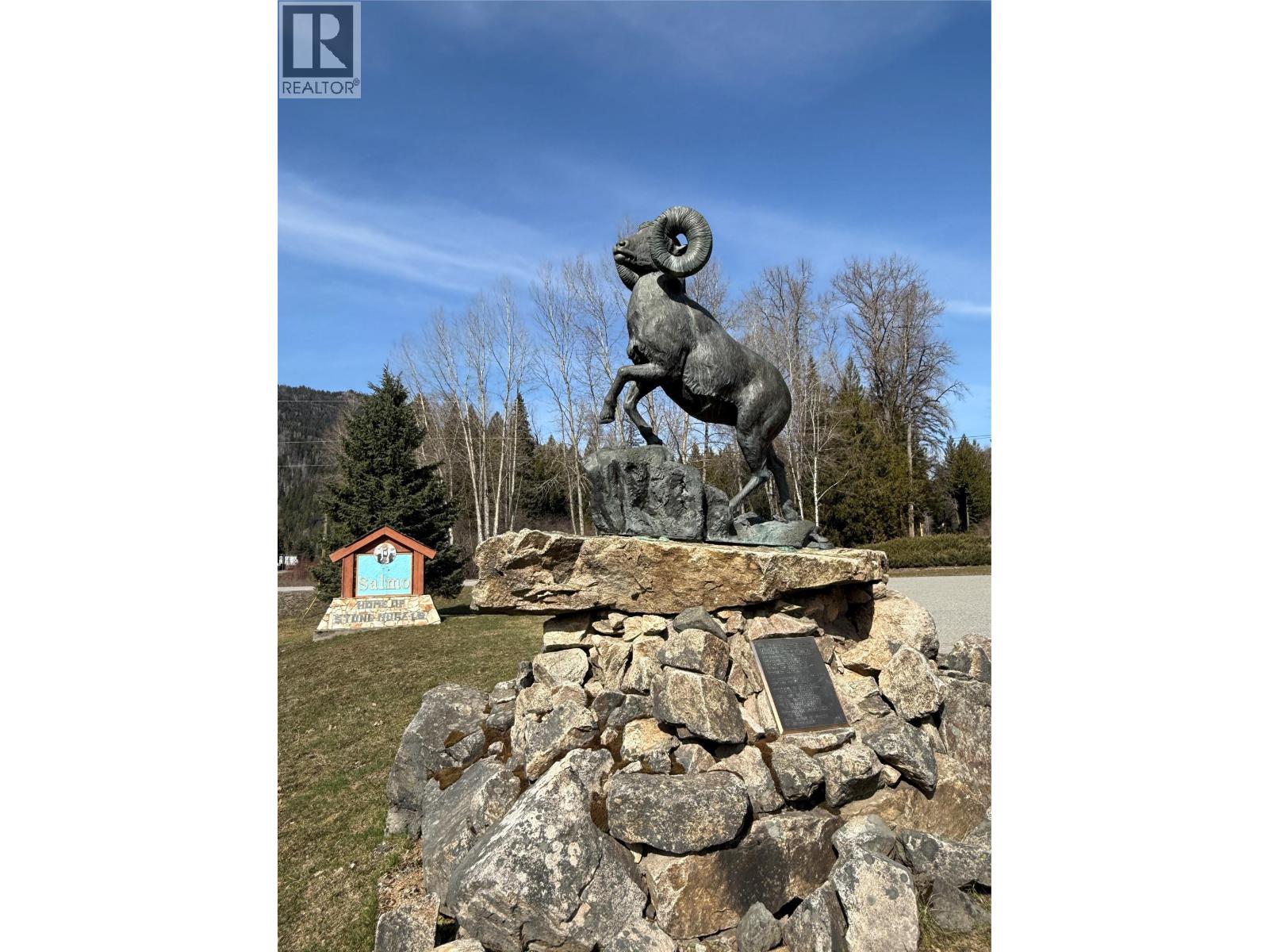 Vector Road Lot# 5, Salmo, British Columbia  V0G 1Z0 - Photo 5 - 10381168