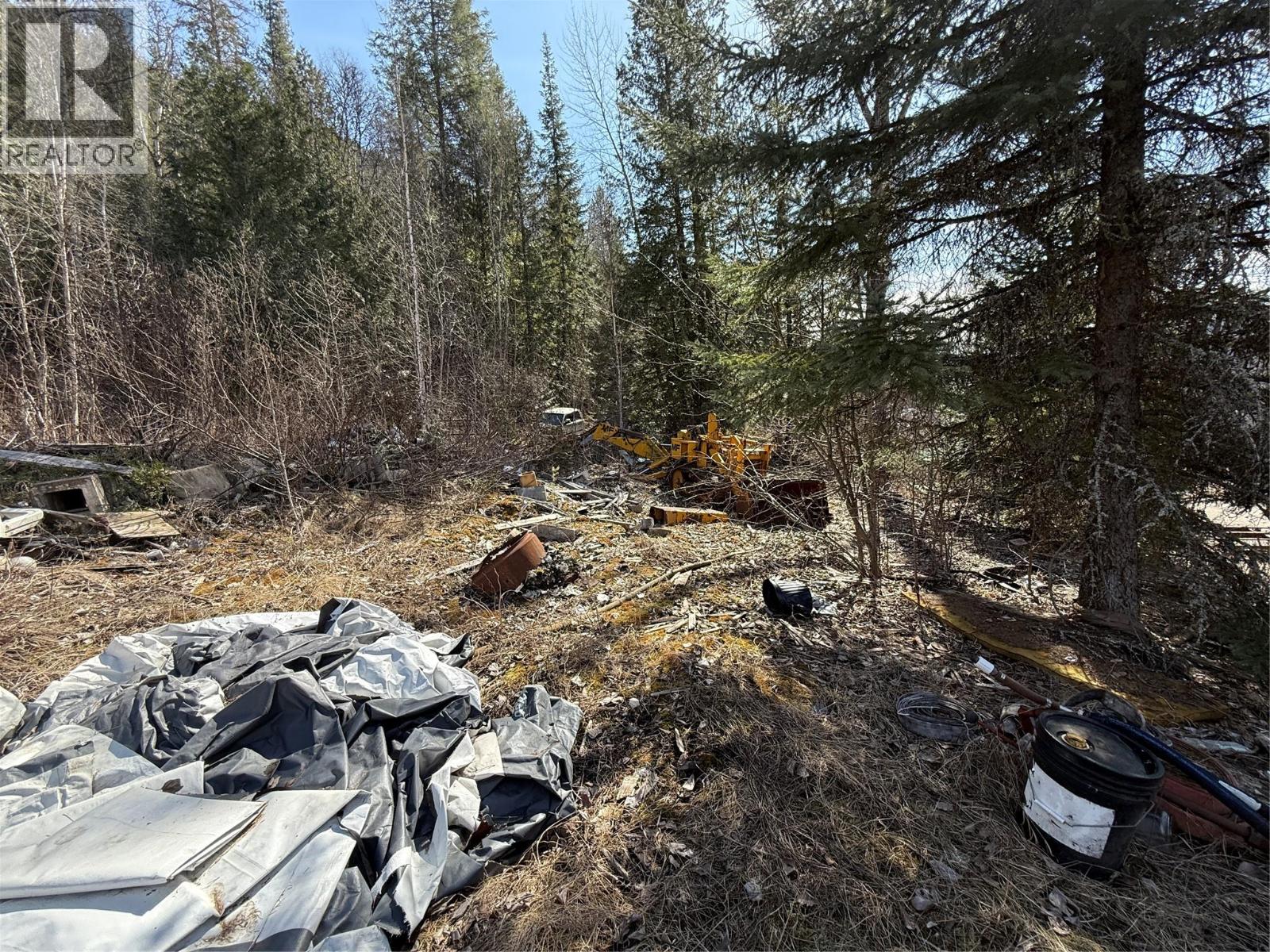 Vector Road Lot# 5, Salmo, British Columbia  V0G 1Z0 - Photo 6 - 10381168