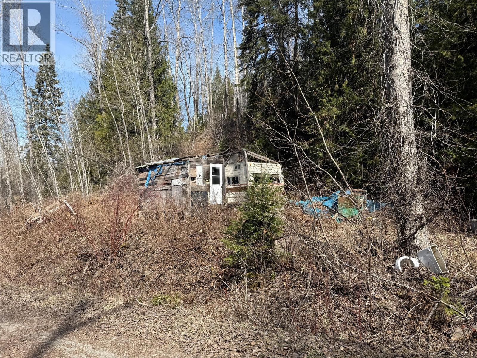 Vector Road Lot# 11, Salmo, British Columbia  V0G 1Z0 - Photo 6 - 10381165