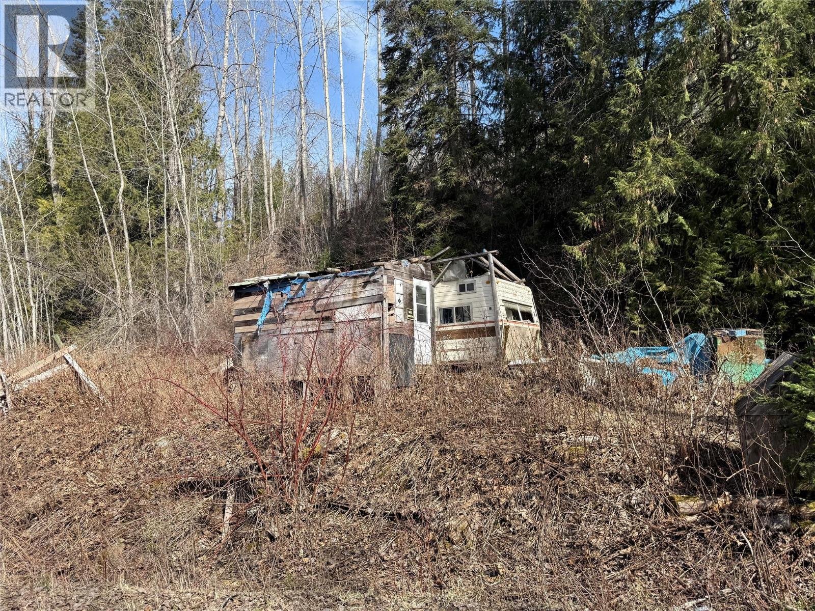 Vector Road Lot# 11, Salmo, British Columbia  V0G 1Z0 - Photo 7 - 10381165