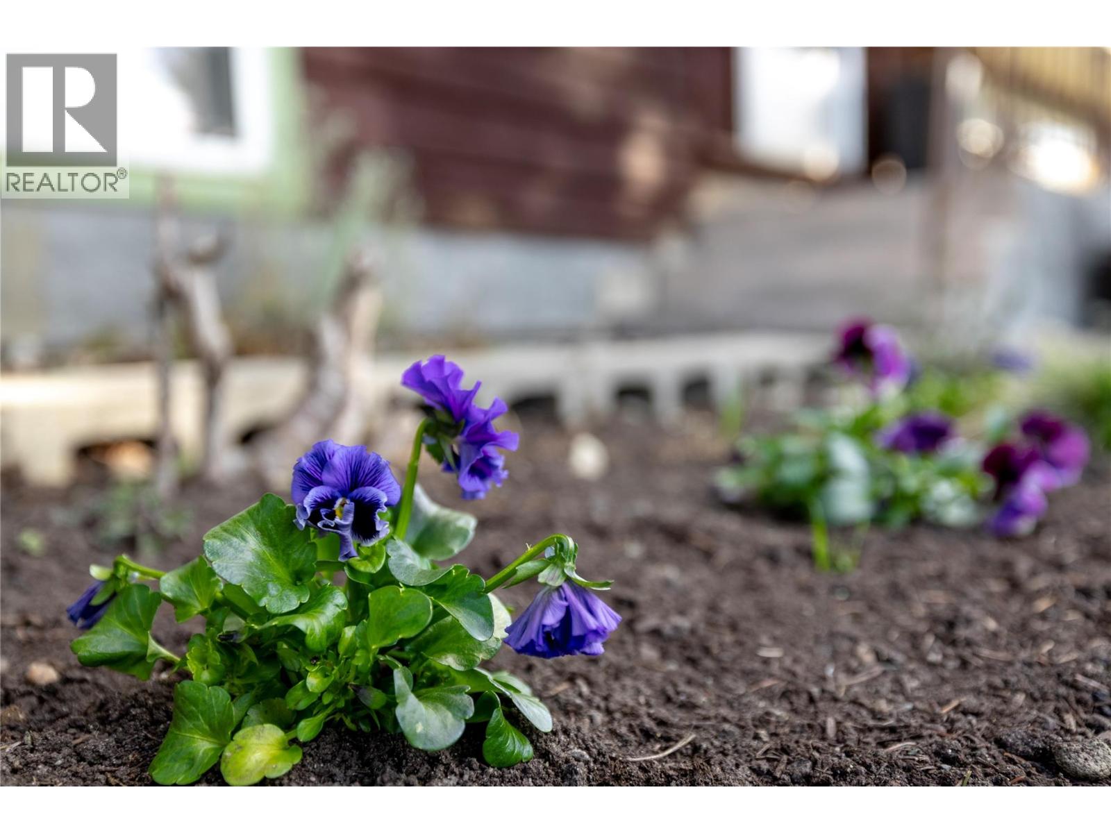 4303 18 Street, Vernon, British Columbia  V1T 7E1 - Photo 31 - 10381983