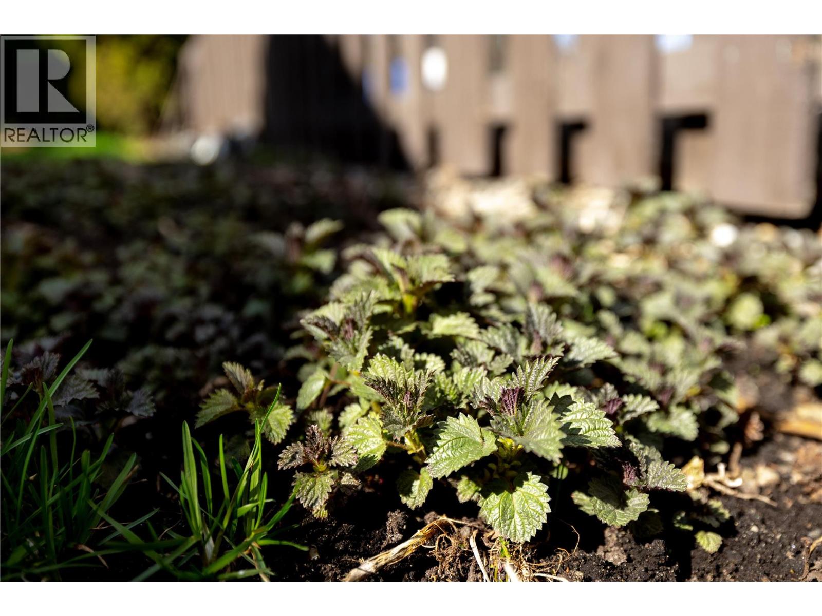 4303 18 Street, Vernon, British Columbia  V1T 7E1 - Photo 34 - 10381983