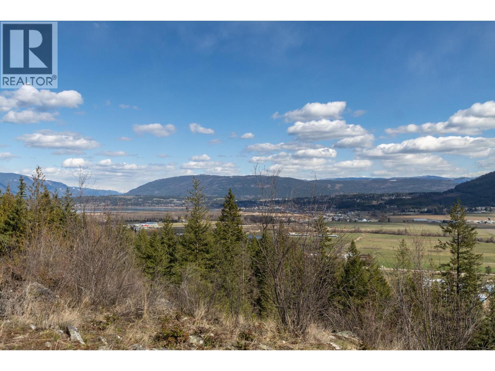 1500 Street Sw, Salmon Arm, British Columbia  V1E 3B3 - Photo 5 - 10381656