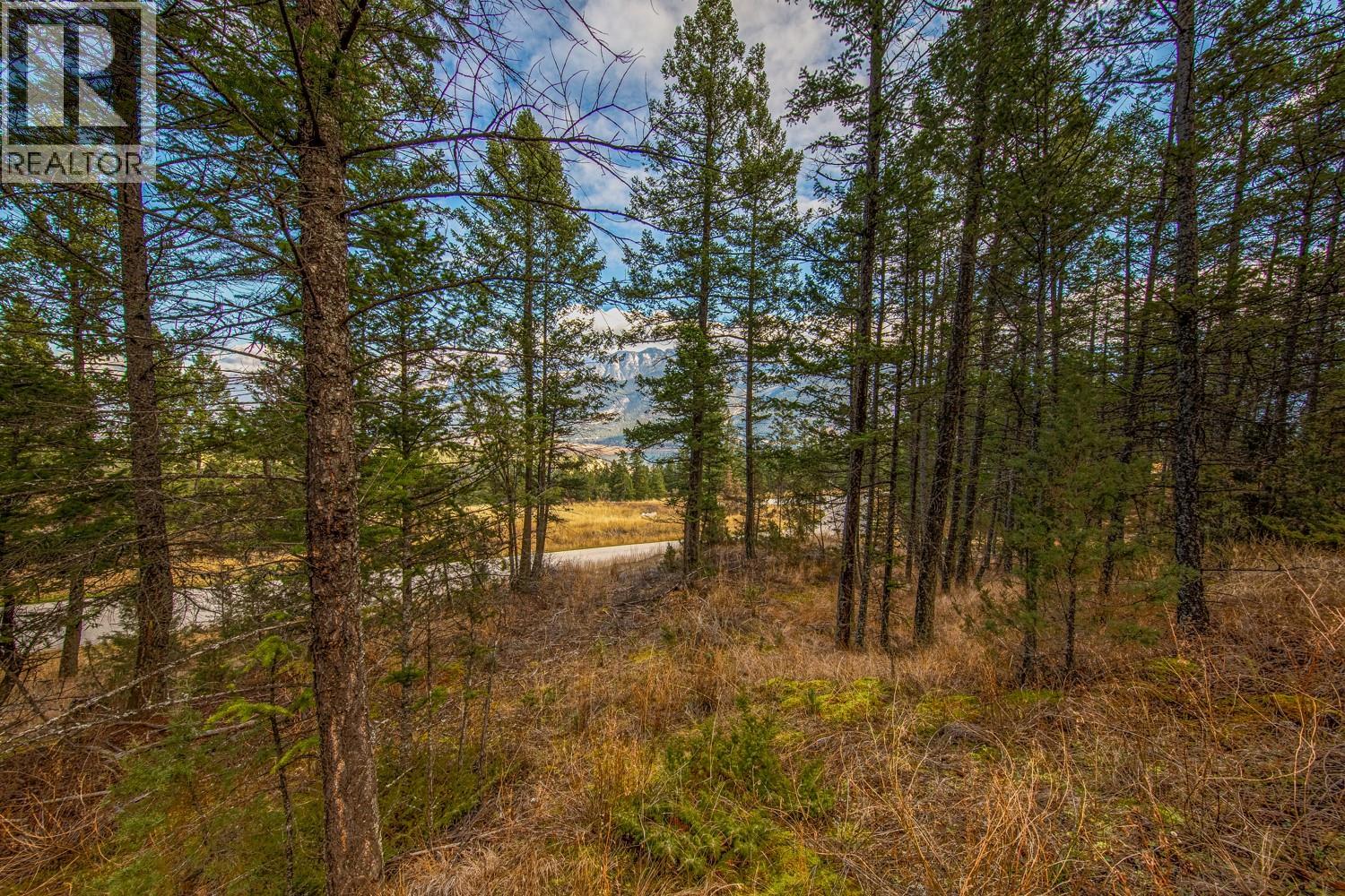 Valley Vista Way Lot# 24, Fairmont Hot Springs, British Columbia  V0B 1L2 - Photo 11 - 10381172