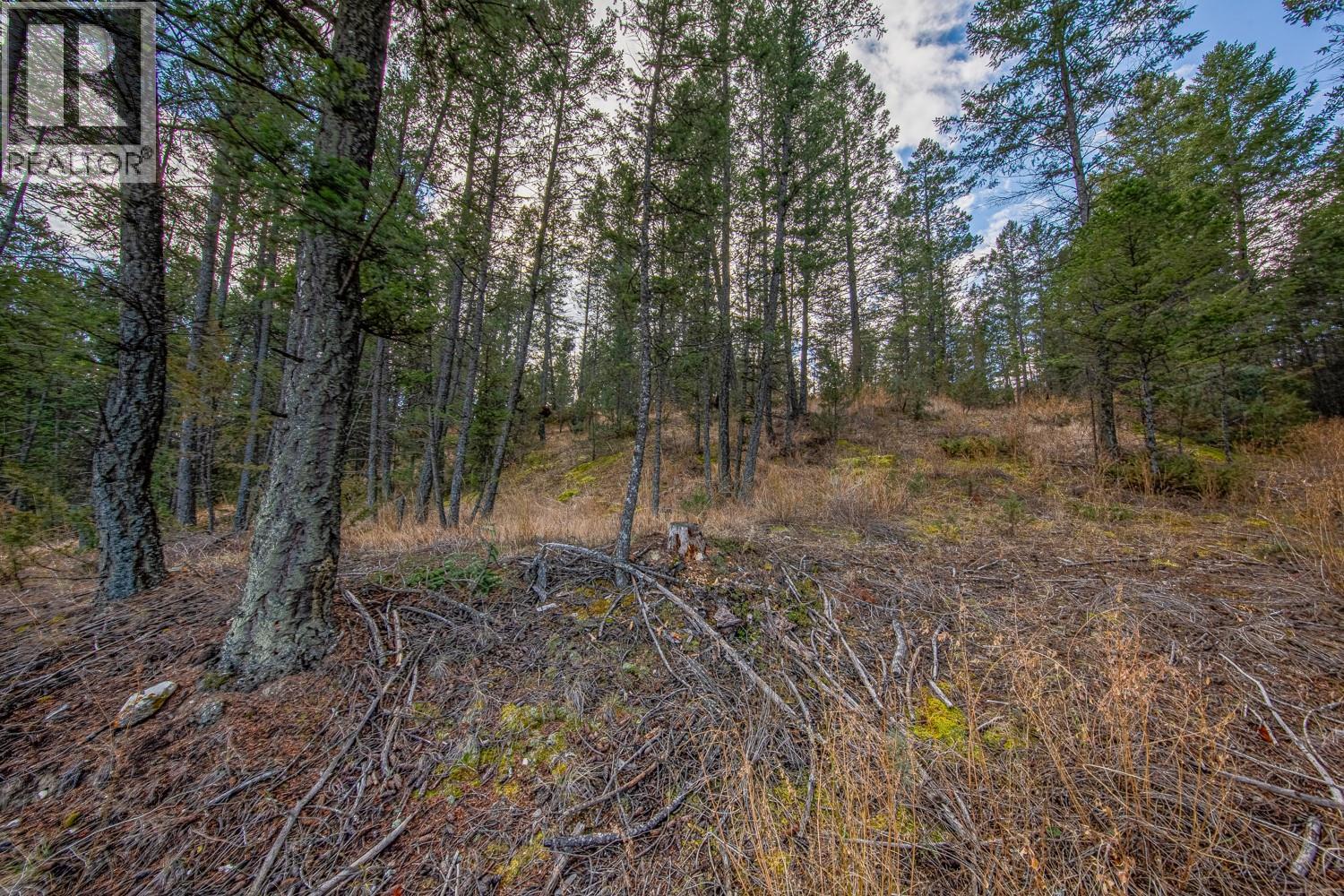 Valley Vista Way Lot# 24, Fairmont Hot Springs, British Columbia  V0B 1L2 - Photo 14 - 10381172
