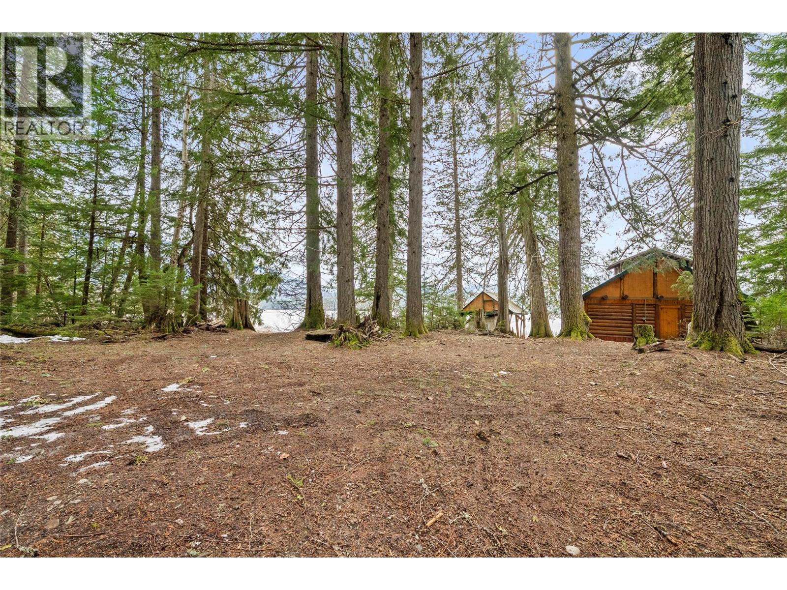 Lot 6 Thorpe Road, Seymour Arm, British Columbia  V0E 1M0 - Photo 3 - 10380078