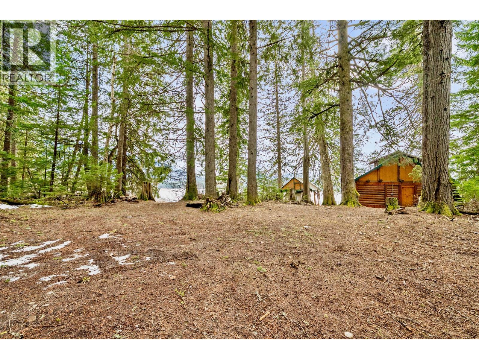 Lot 6 Thorpe Road, Seymour Arm, British Columbia  V0E 1M0 - Photo 35 - 10380078