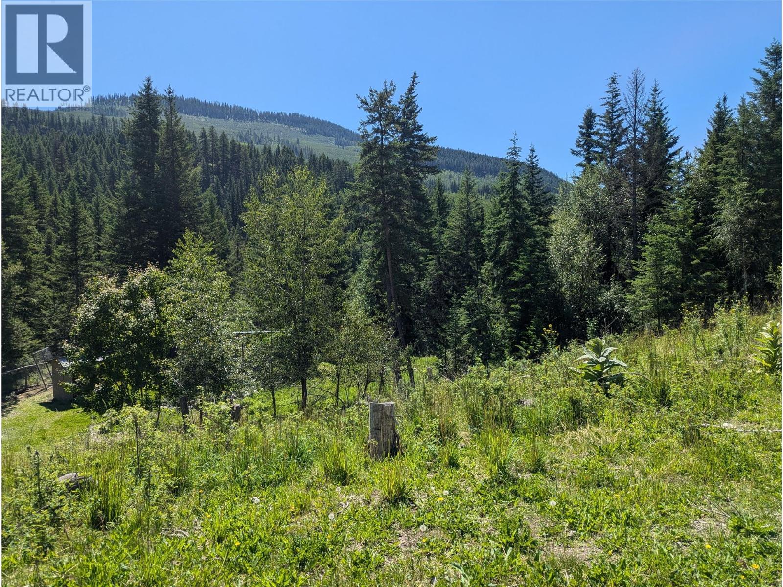 7160 China Valley Road, Chase, British Columbia  V0E 1W1 - Photo 14 - 10382139