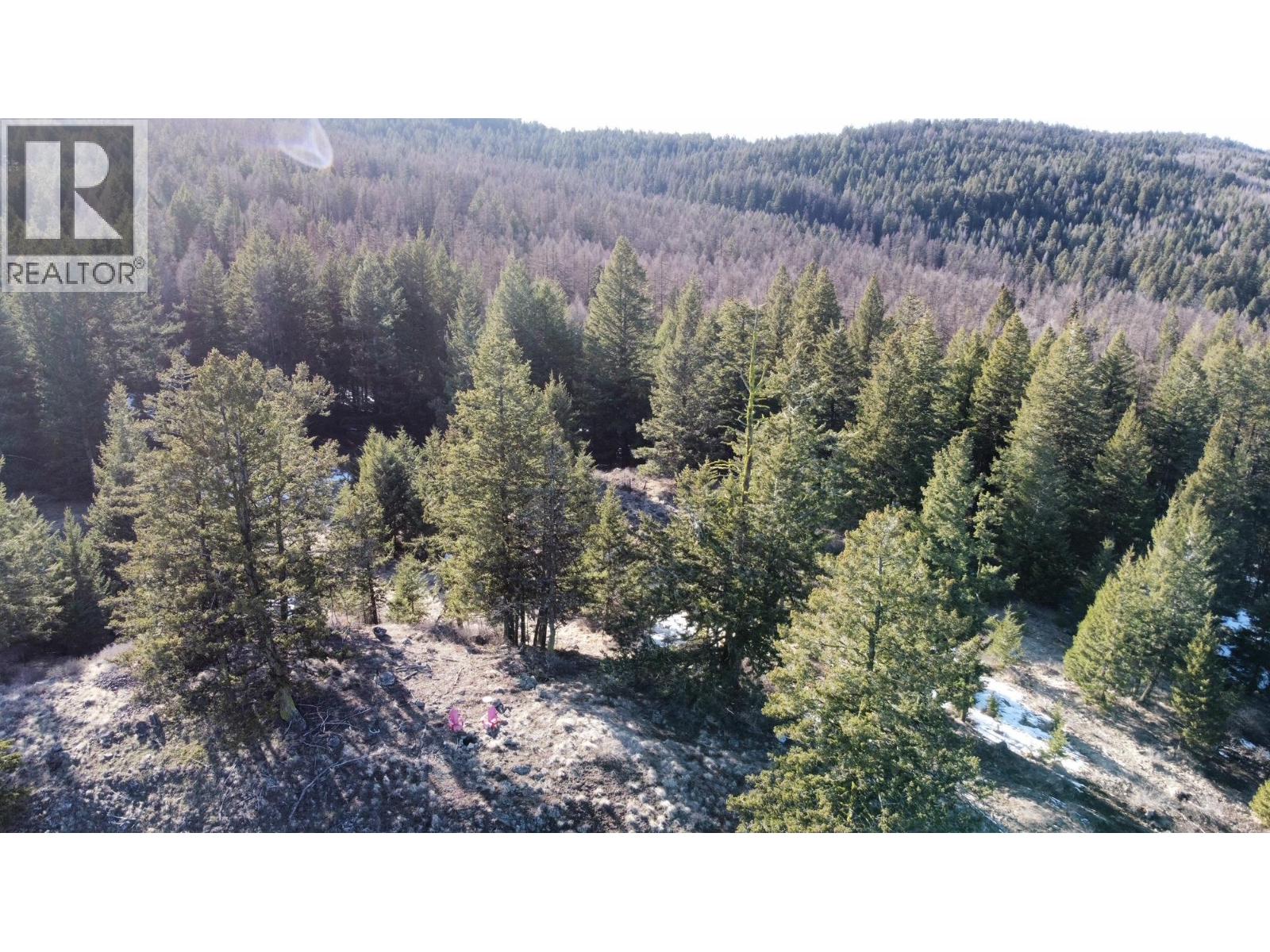 1475 Courtenay Brown Road, Rock Creek, British Columbia  V0H 1B0 - Photo 22 - 10382166