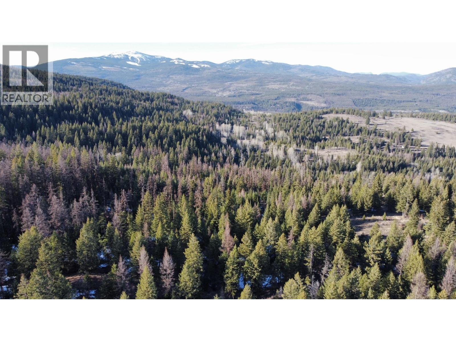 1475 Courtenay Brown Road, Rock Creek, British Columbia  V0H 1B0 - Photo 25 - 10382166