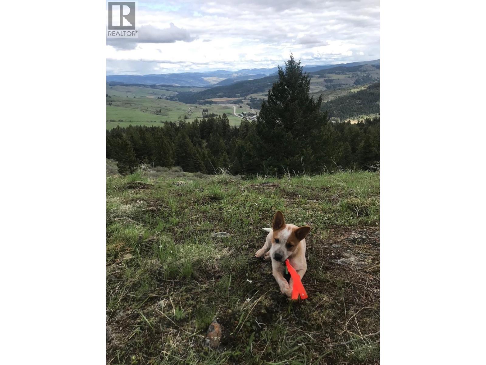 1475 Courtenay Brown Road, Rock Creek, British Columbia  V0H 1B0 - Photo 33 - 10382166