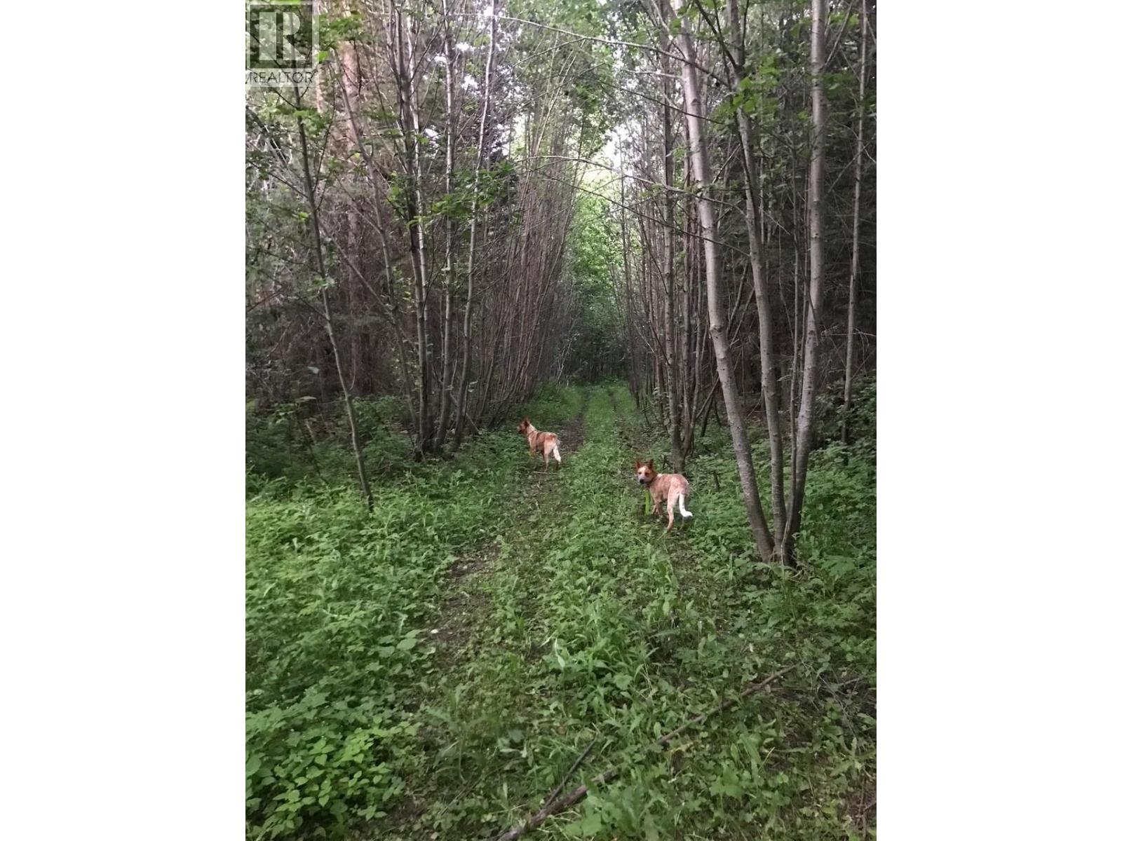 1475 Courtenay Brown Road, Rock Creek, British Columbia  V0H 1B0 - Photo 34 - 10382166