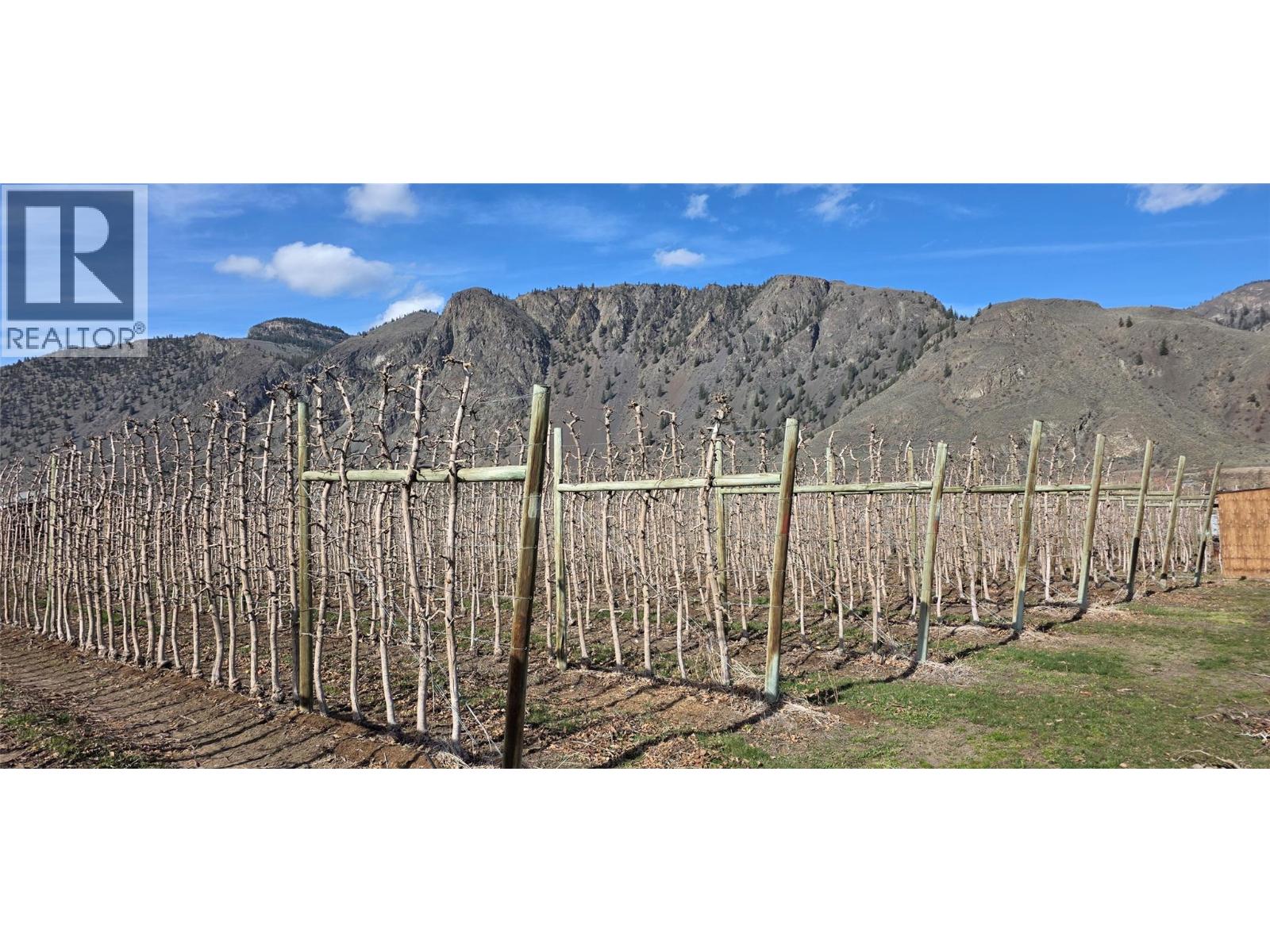 2292 Agar Road, Cawston, British Columbia  V0X 1C2 - Photo 25 - 10382123