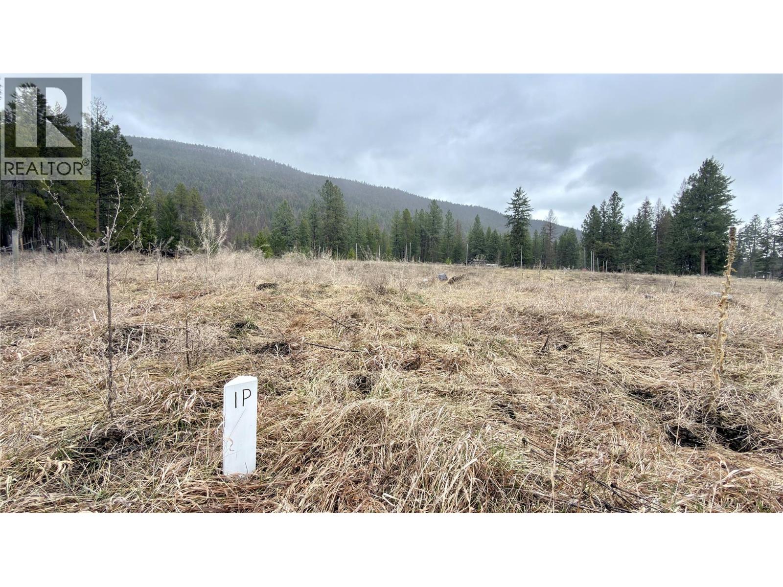 11 Haggen Road, Beaverdell, British Columbia  V0H 1A0 - Photo 10 - 10382191