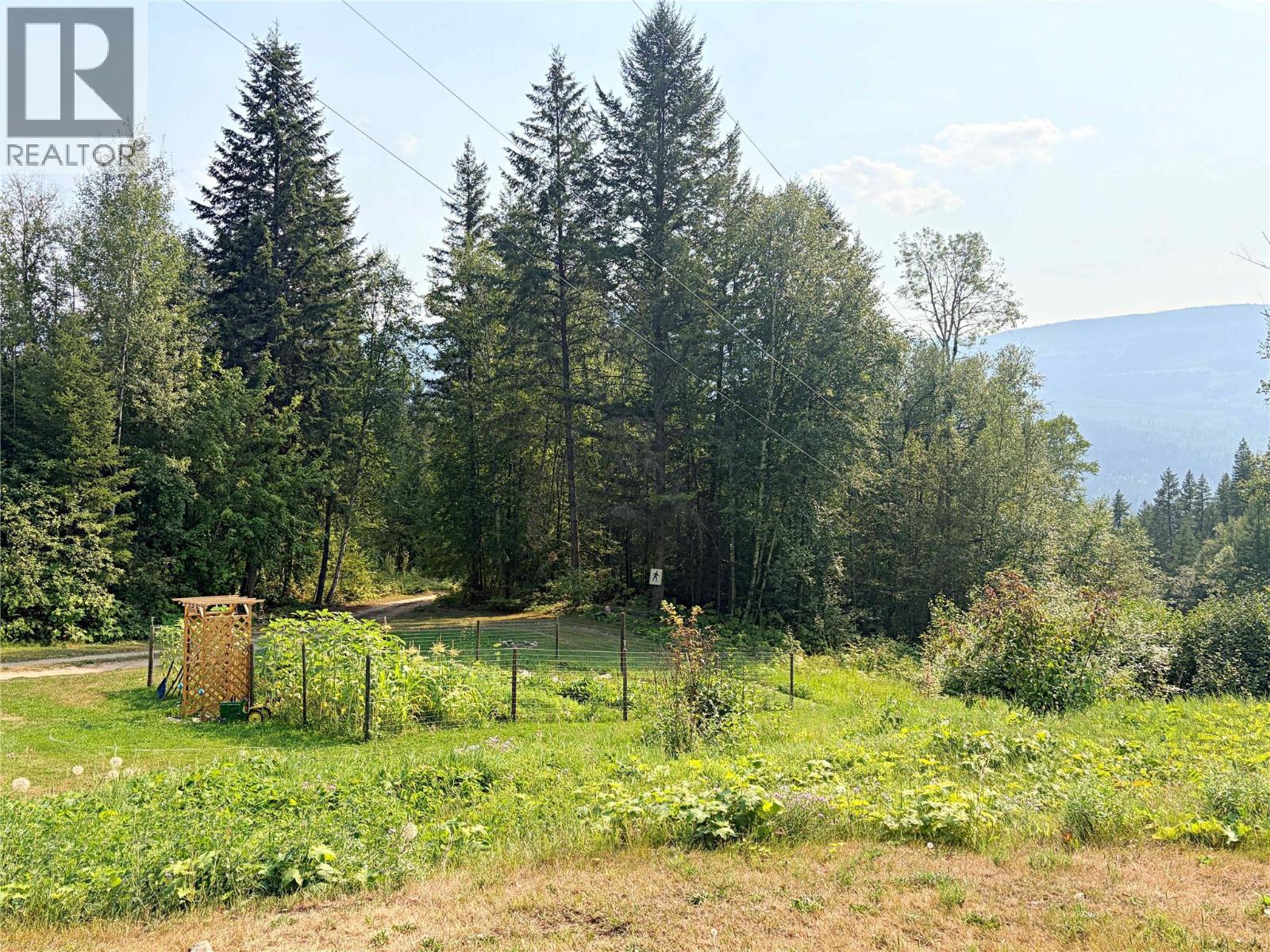 2545 Child Road, Clearwater, British Columbia  V0E 3A0 - Photo 37 - 10382098