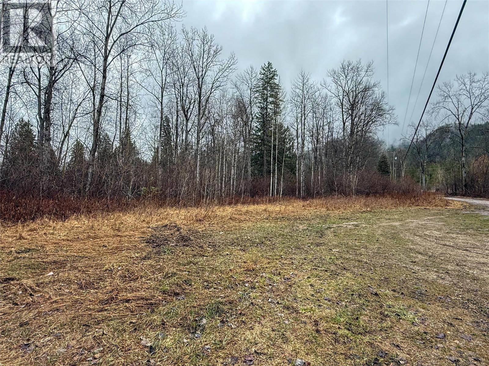 Nixon Road Lot# 83, Appledale, British Columbia  V0G 2J0 - Photo 15 - 10381370
