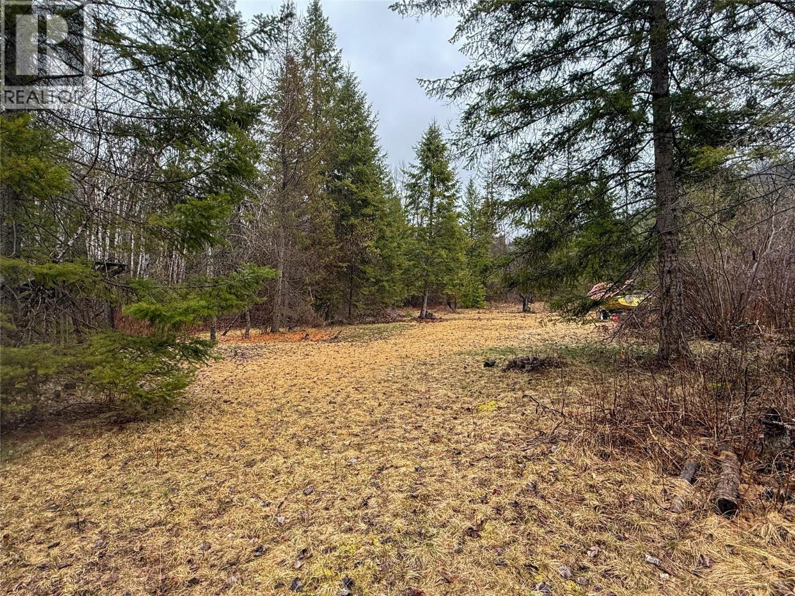 Nixon Road Lot# 83, Appledale, British Columbia  V0G 2J0 - Photo 18 - 10381370